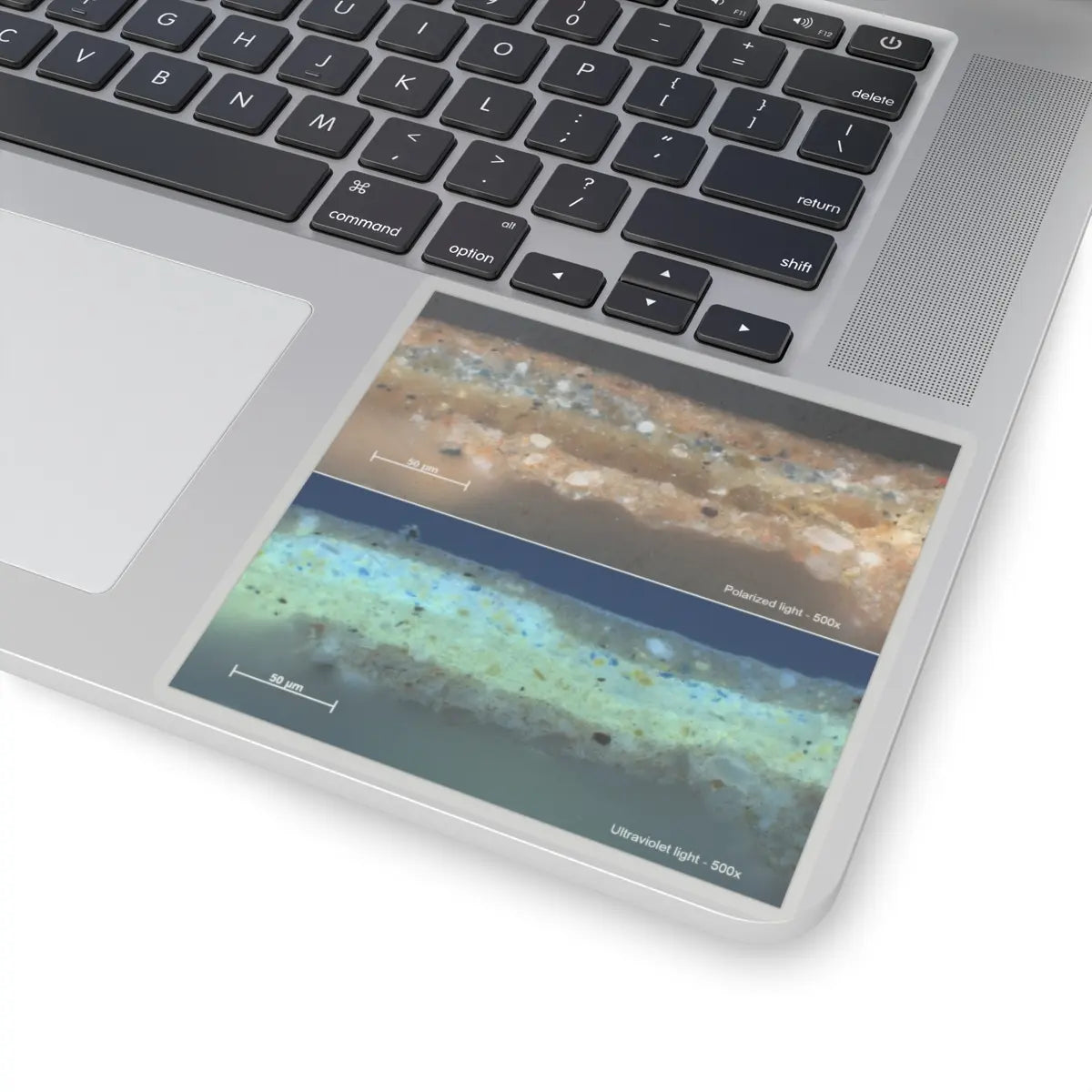 SKU:TSS-STICK-GDFSCH-4X4-1N1BQ Sizes:4" × 4" Types:Transparent