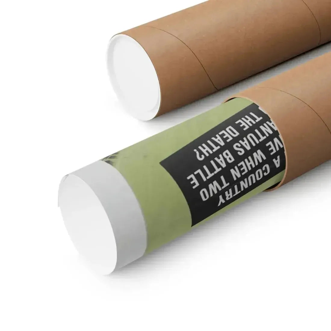 GODZILLA'S REVENGE + WAR OF THE GARGANTUAS 1969 - Paper Movie Poster - The Sticker Space