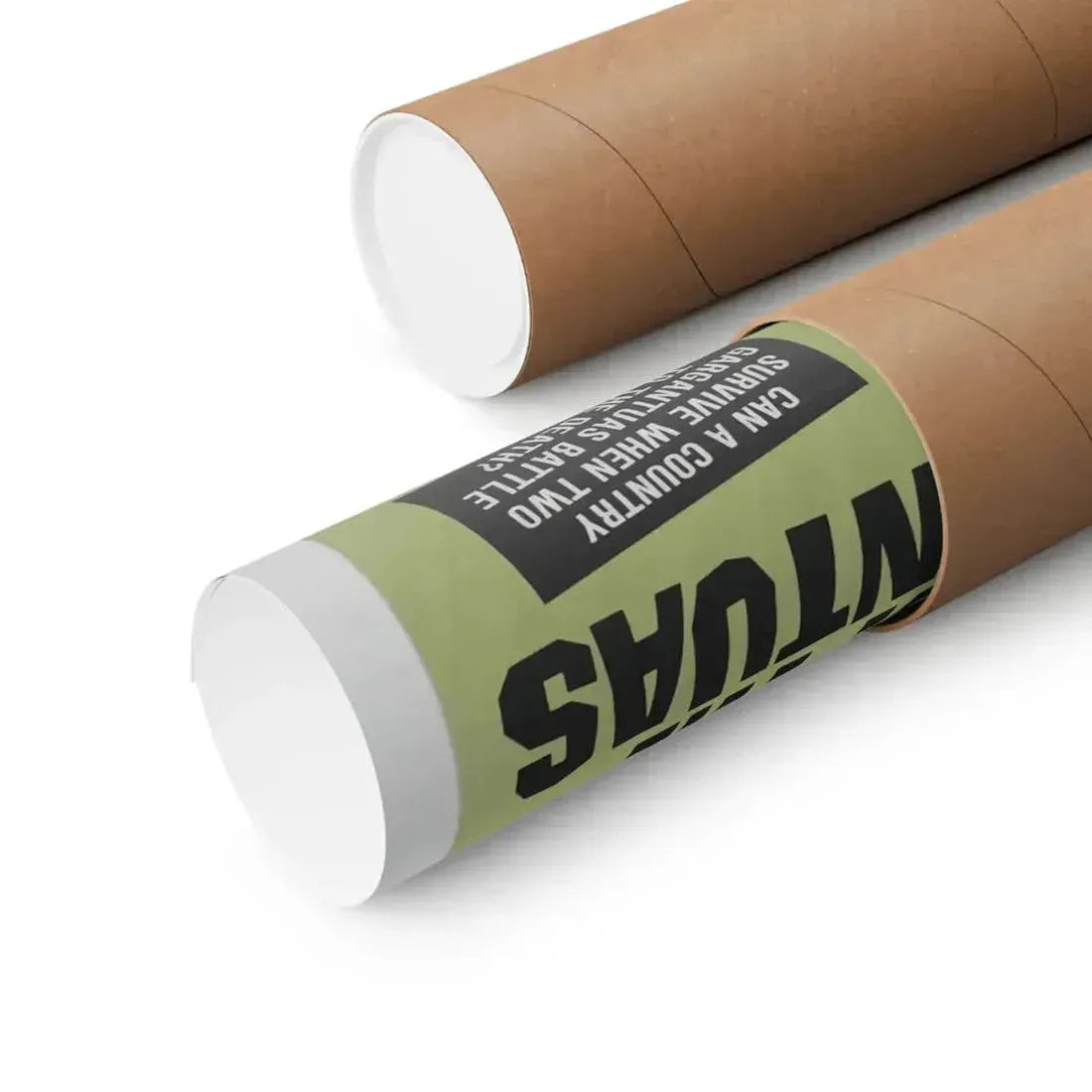 GODZILLA'S REVENGE + WAR OF THE GARGANTUAS 1969 - Paper Movie Poster - The Sticker Space