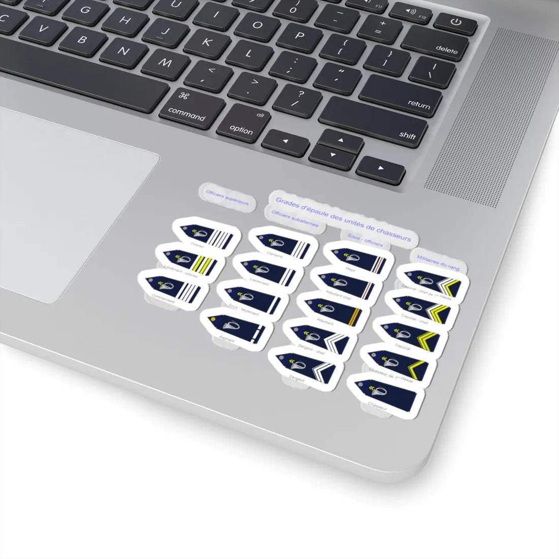 Grades des chasseurs (Military Rank) STICKER Vinyl Kiss-Cut Decal - The Sticker Space