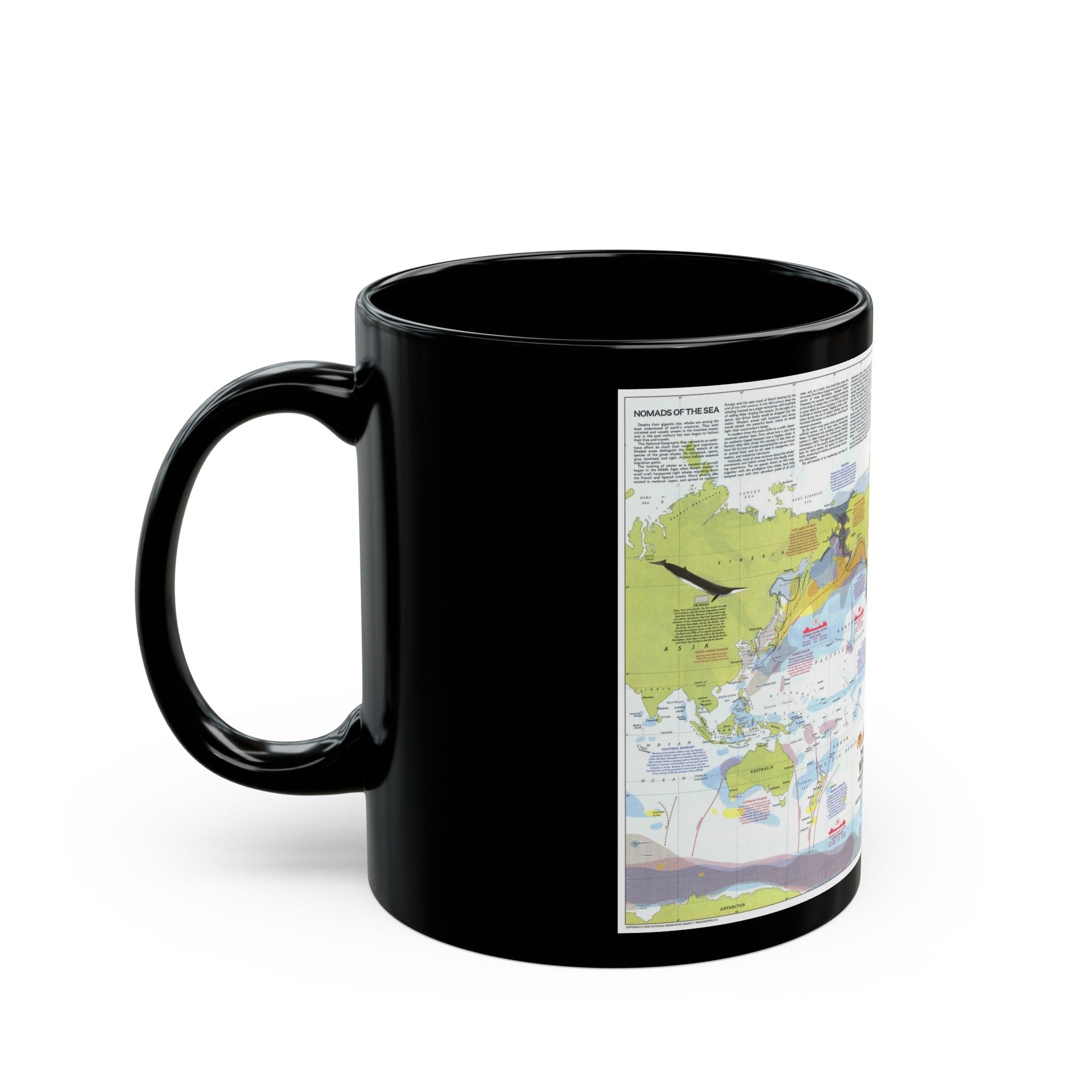 Great Whales, Migration and Range (1976) (Map) Black Coffee Mug-The Sticker Space