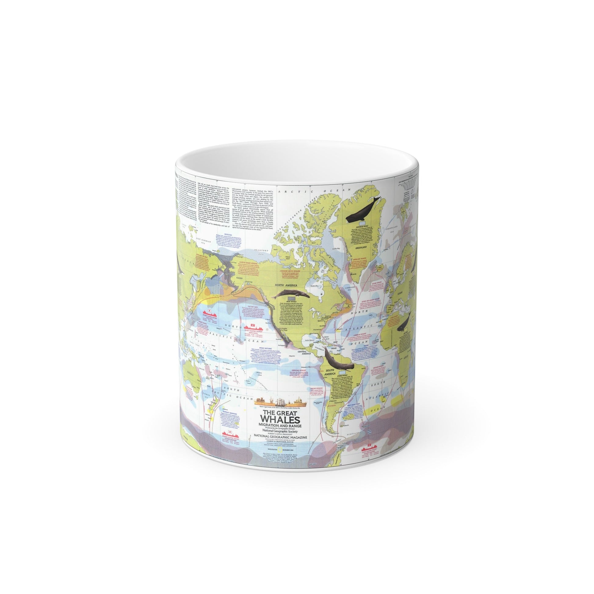 Great Whales, Migration and Range (1976) (Map) Color Changing Mug 11oz-11oz-The Sticker Space