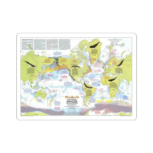 Great Whales, Migration and Range (1976) (Map) STICKER Vinyl Kiss-Cut Decal 2 Inch White - The Sticker Space