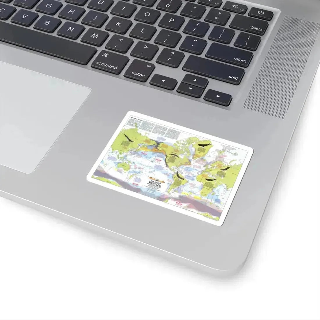 Great Whales, Migration and Range (1976) (Map) STICKER Vinyl Kiss-Cut Decal - The Sticker Space