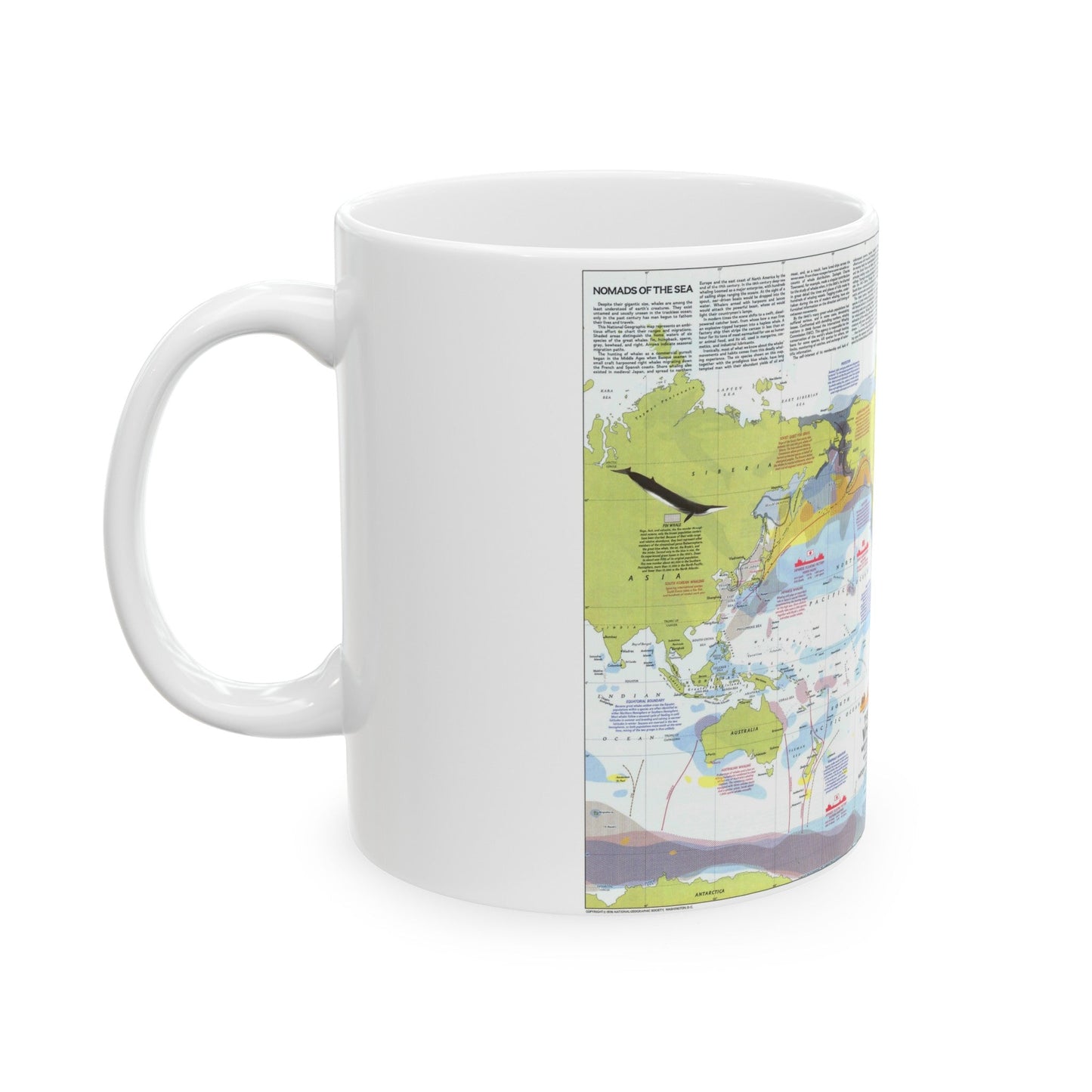 Great Whales, Migration and Range (1976) (Map) White Coffee Mug-The Sticker Space