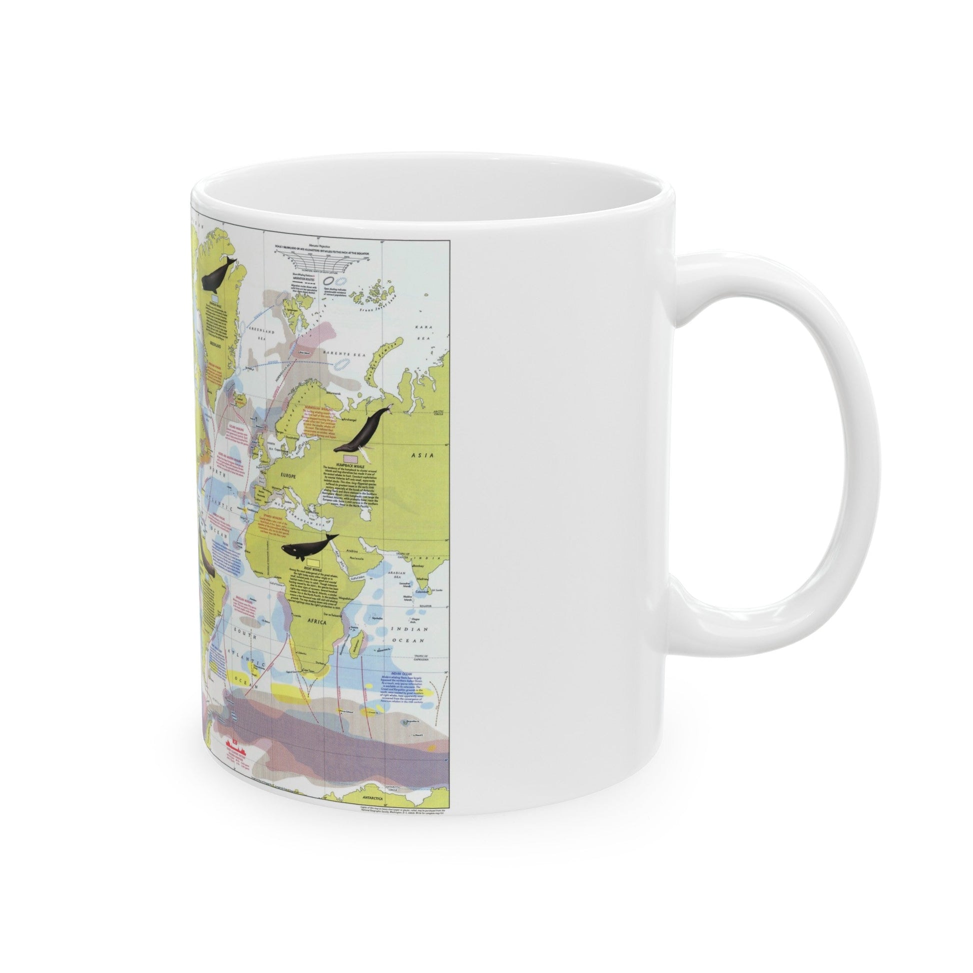 Great Whales, Migration and Range (1976) (Map) White Coffee Mug-The Sticker Space