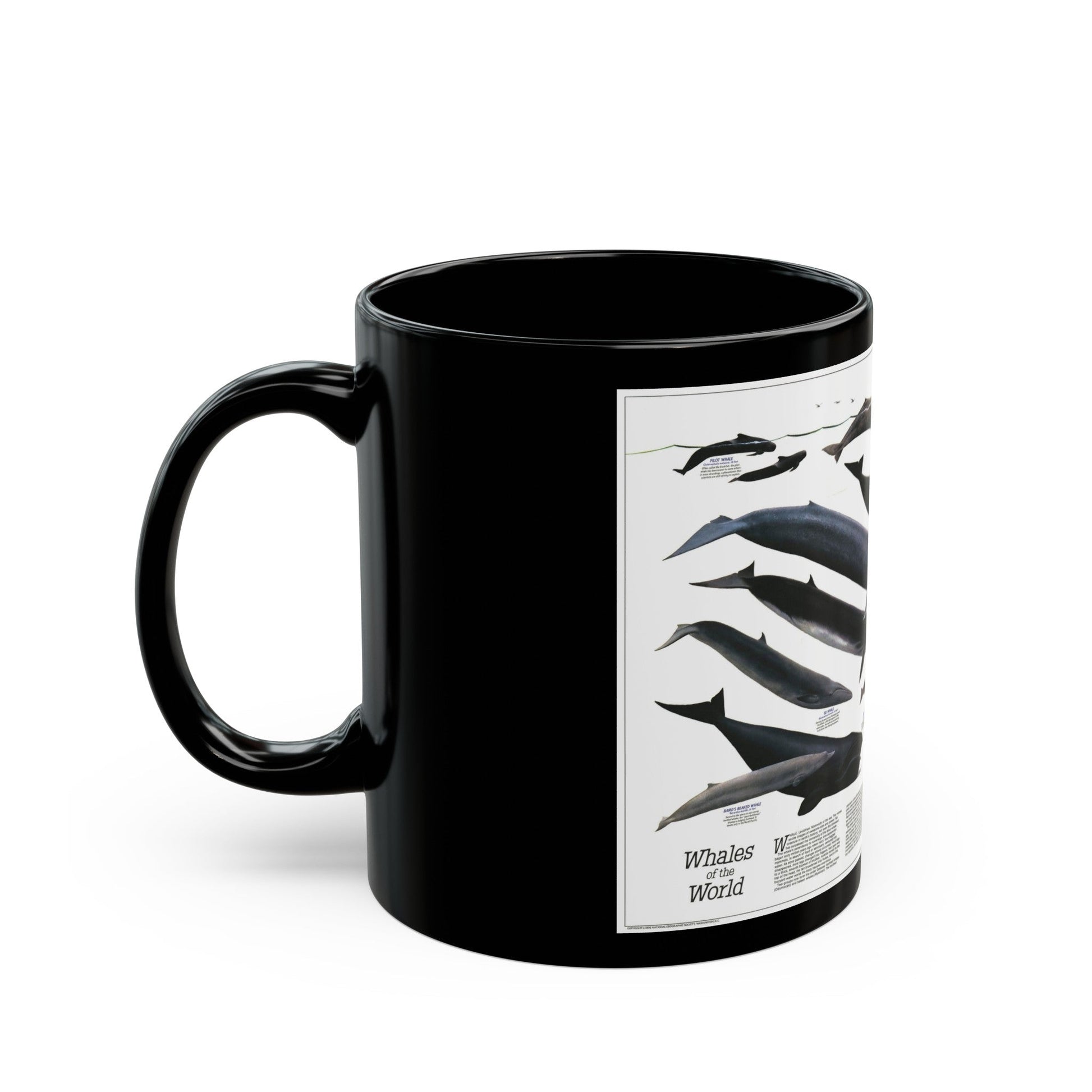 Great Whales of the World (1976) (Map) Black Coffee Mug-The Sticker Space