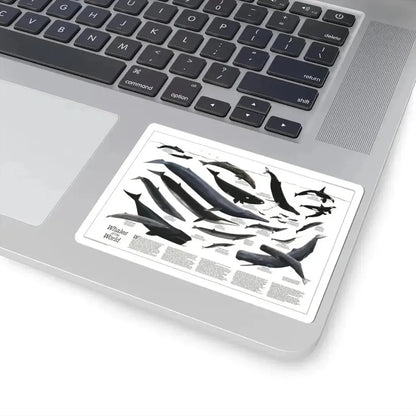 Great Whales of the World (1976) (Map) STICKER Vinyl Kiss-Cut Decal - The Sticker Space