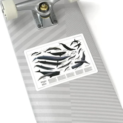 Great Whales of the World (1976) (Map) STICKER Vinyl Kiss-Cut Decal - The Sticker Space