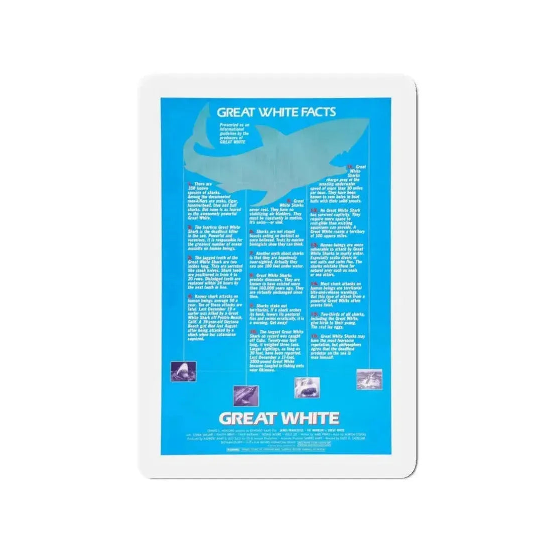 GREAT WHITE (TEASER 2) 1981 Movie Poster - Refrigerator Magnet - The Sticker Space