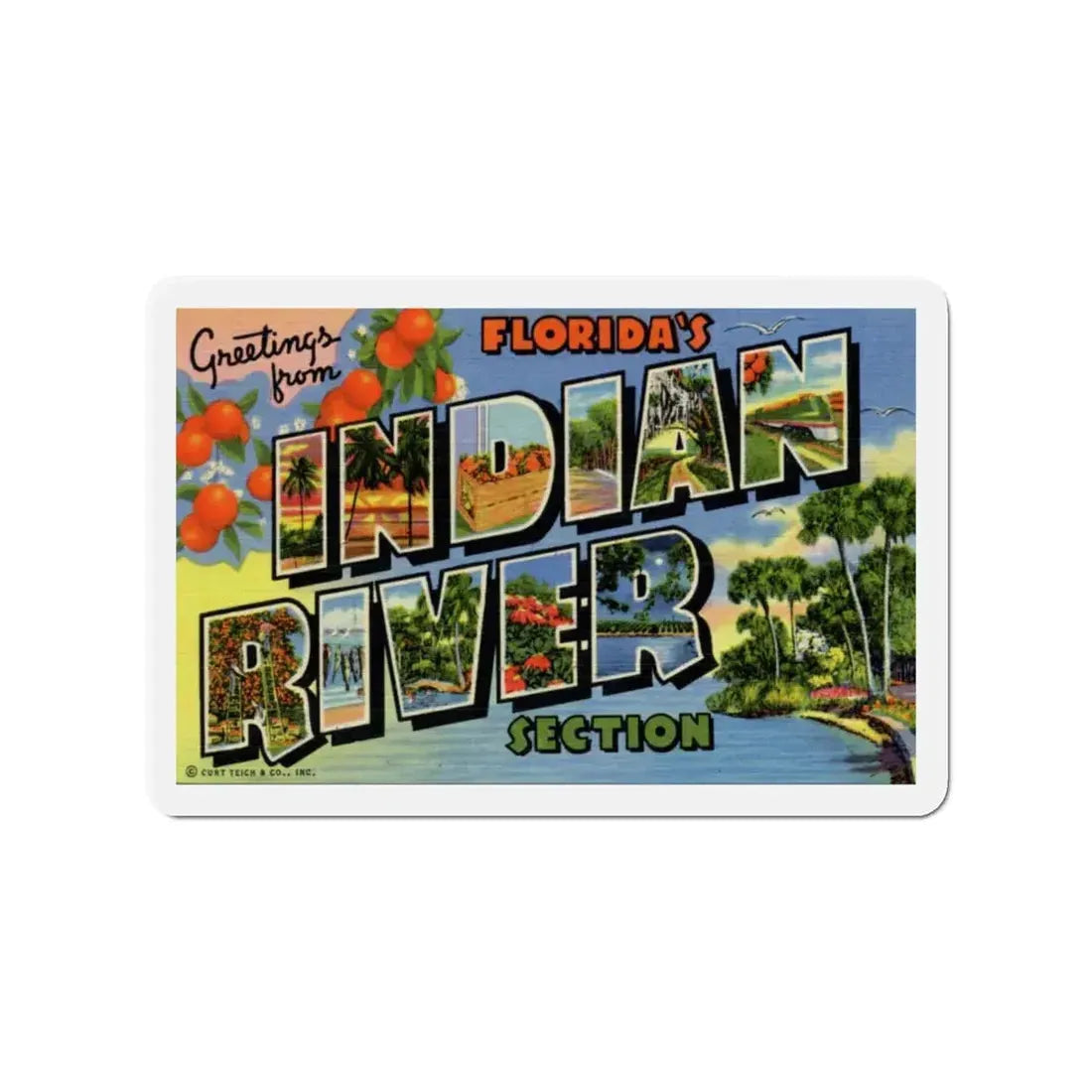 Greetings from Florida's Indian River Section (Greeting Postcards) Refrigerator Magnet 3 Inch - The Sticker Space