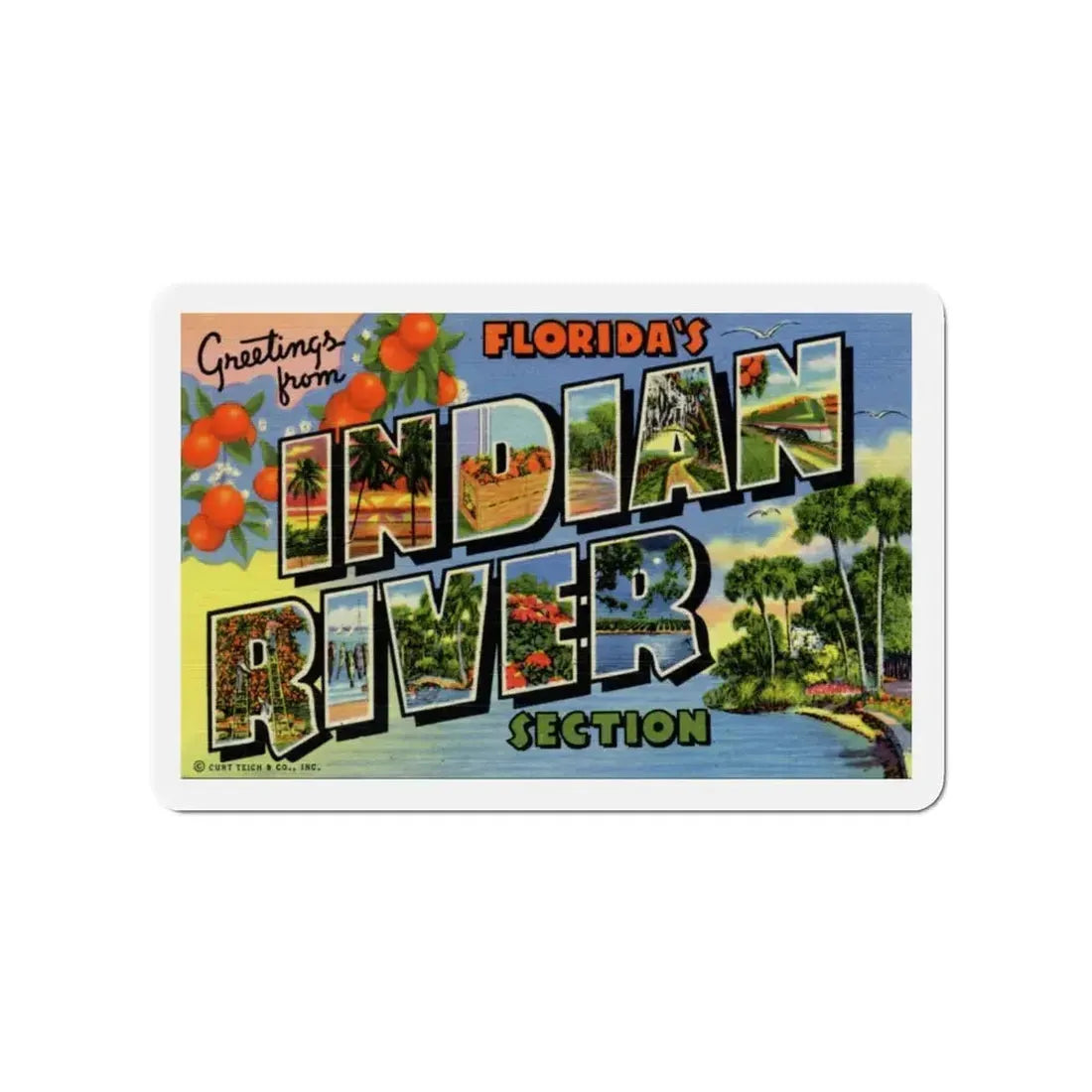 Greetings from Florida's Indian River Section (Greeting Postcards) Refrigerator Magnet 4 Inch - The Sticker Space