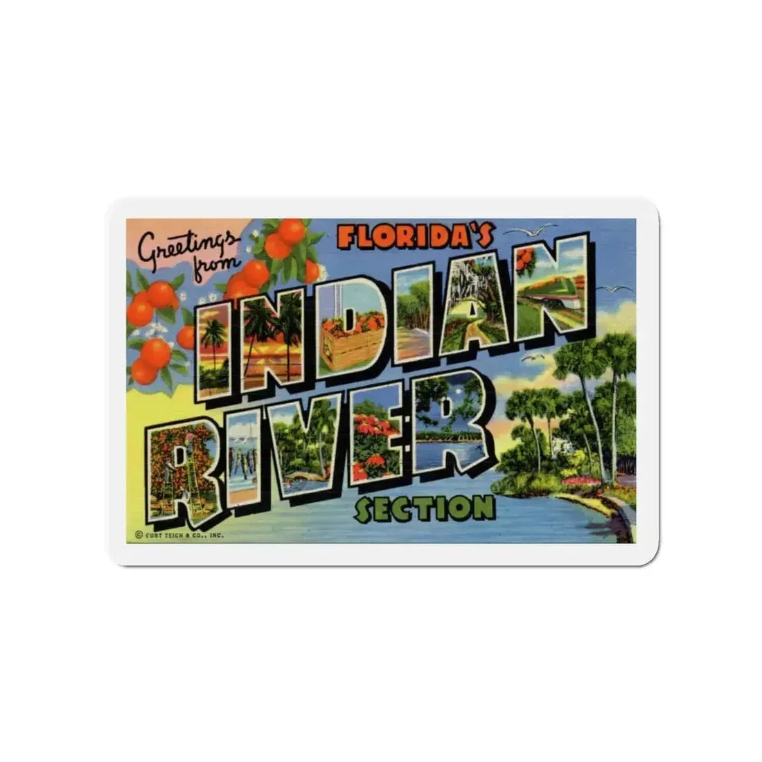 Greetings from Florida's Indian River Section (Greeting Postcards) Refrigerator Magnet - The Sticker Space