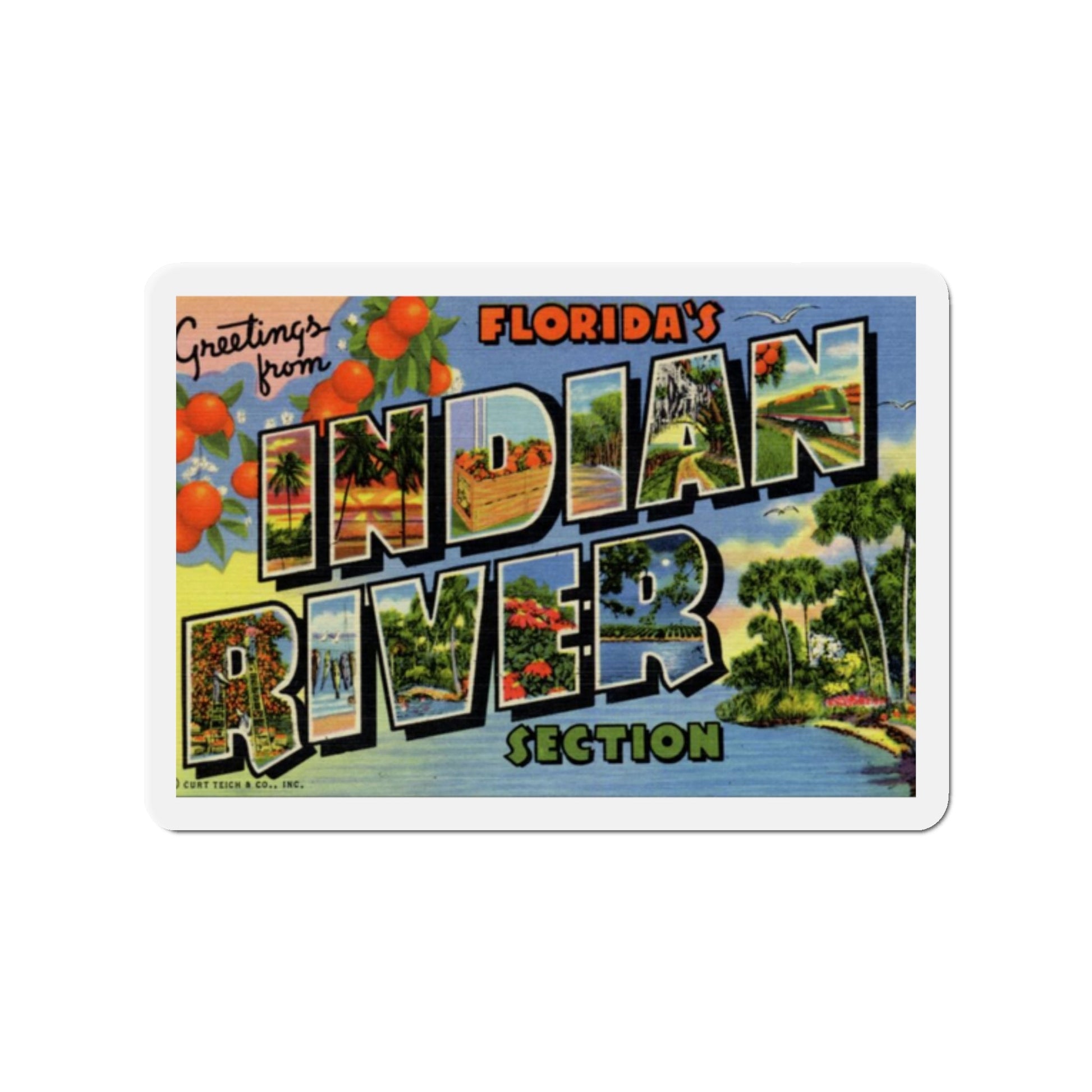 Greetings from Florida's Indian River Section (Greeting Postcards) Die-Cut Magnet-2" x 2"-The Sticker Space