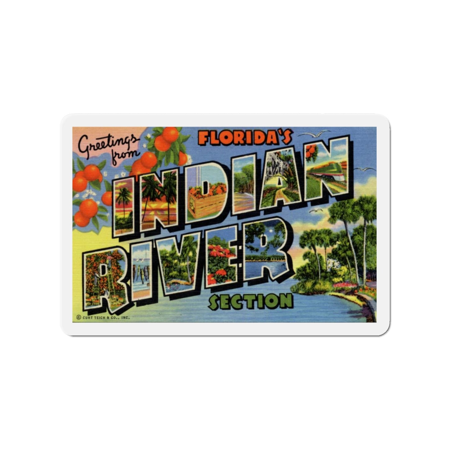 Greetings from Florida's Indian River Section (Greeting Postcards) Die-Cut Magnet-3" x 3"-The Sticker Space