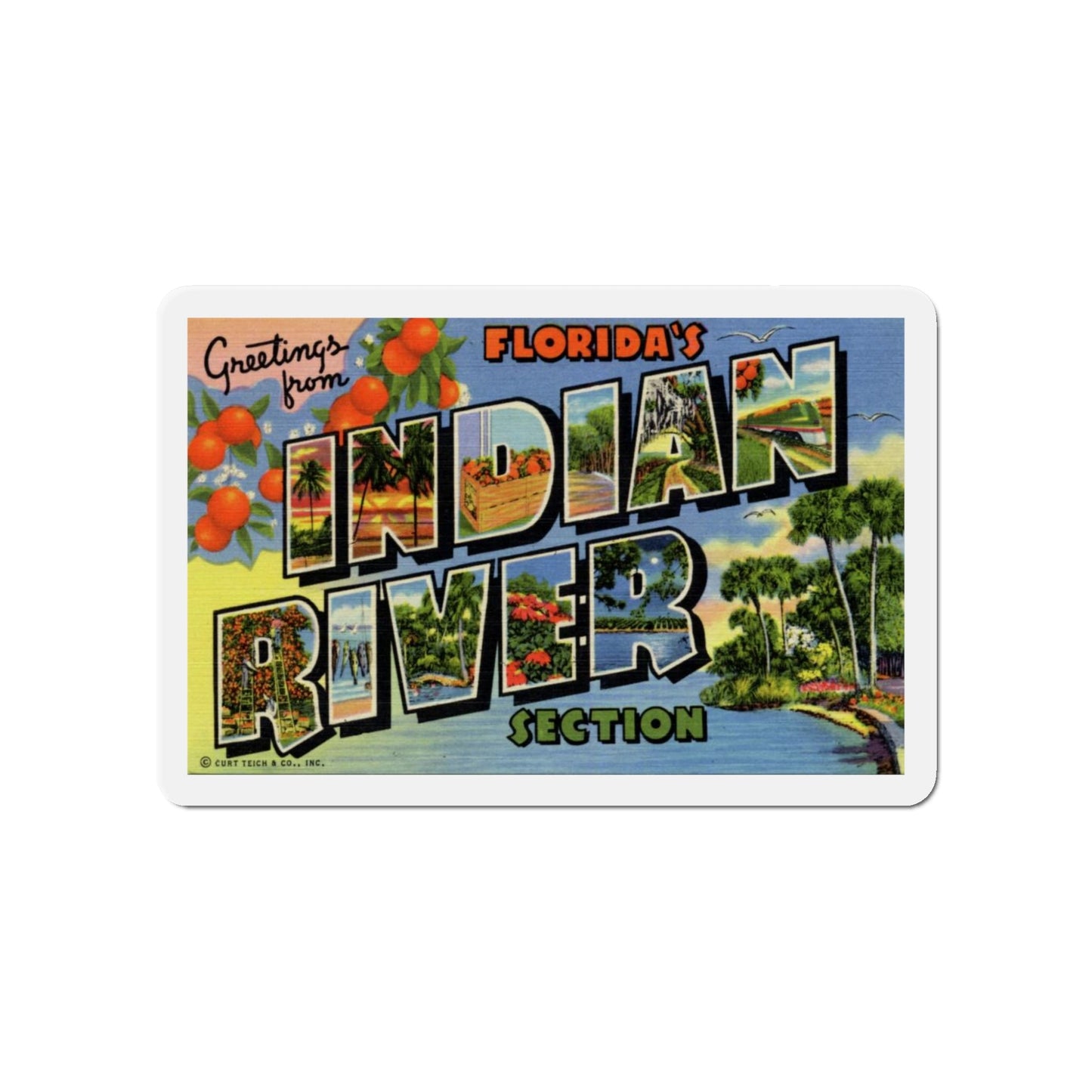 Greetings from Florida's Indian River Section (Greeting Postcards) Die-Cut Magnet-5" x 5"-The Sticker Space