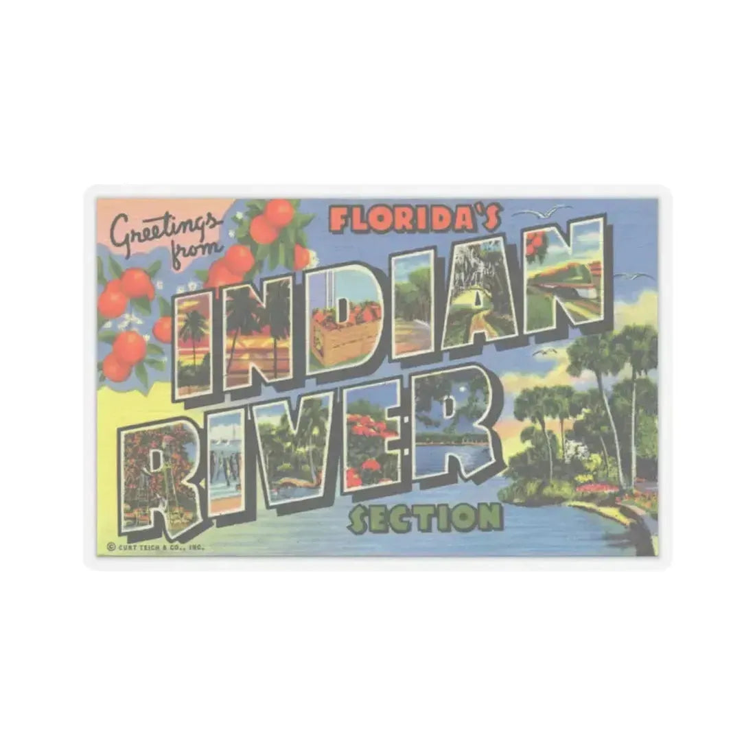 Greetings from Floridas Indian River section (Greeting Postcards) STICKER Vinyl Kiss-Cut Decal 6 Inch Transparent - The Sticker Space