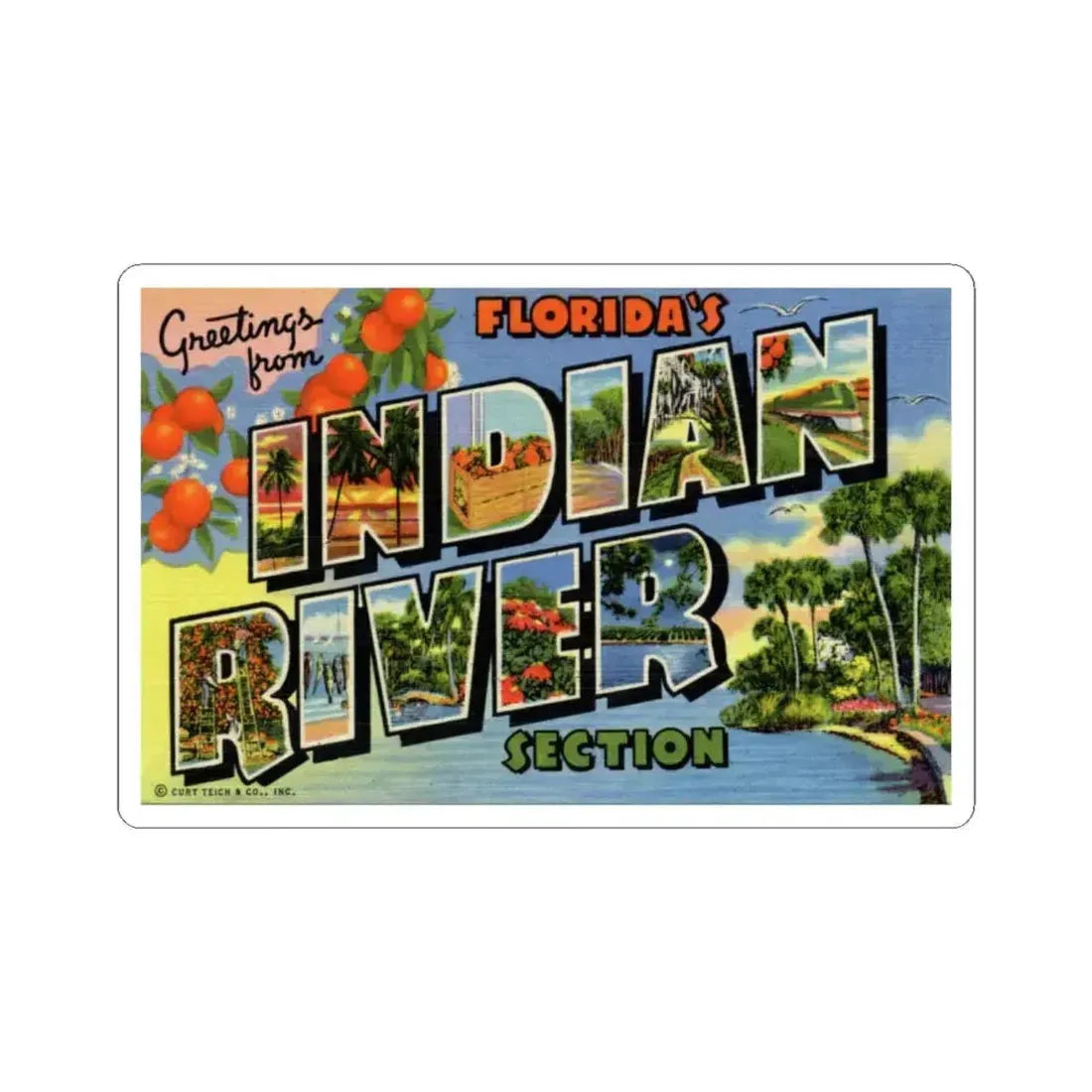 Greetings from Floridas Indian River section (Greeting Postcards) STICKER Vinyl Kiss-Cut Decal 6 Inch White - The Sticker Space