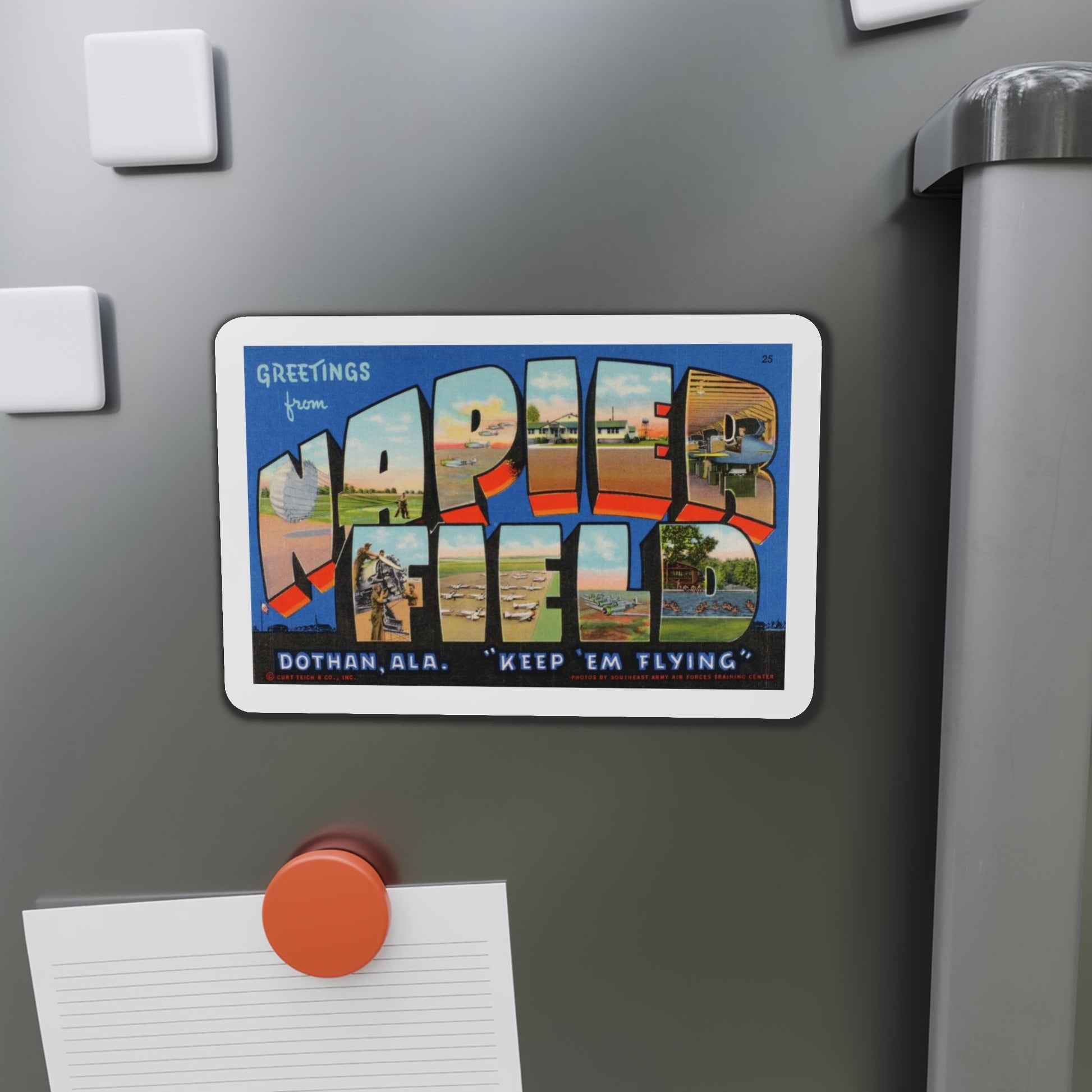 Greetings from Napier Field (Greeting Postcards) Die-Cut Magnet-The Sticker Space