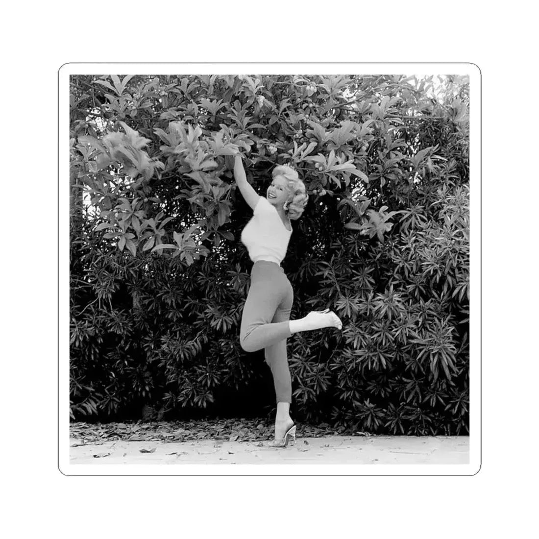 Greta Thyssen #74 (Vintage Female Icon) STICKER Vinyl Kiss-Cut Decal 6 Inch White - The Sticker Space