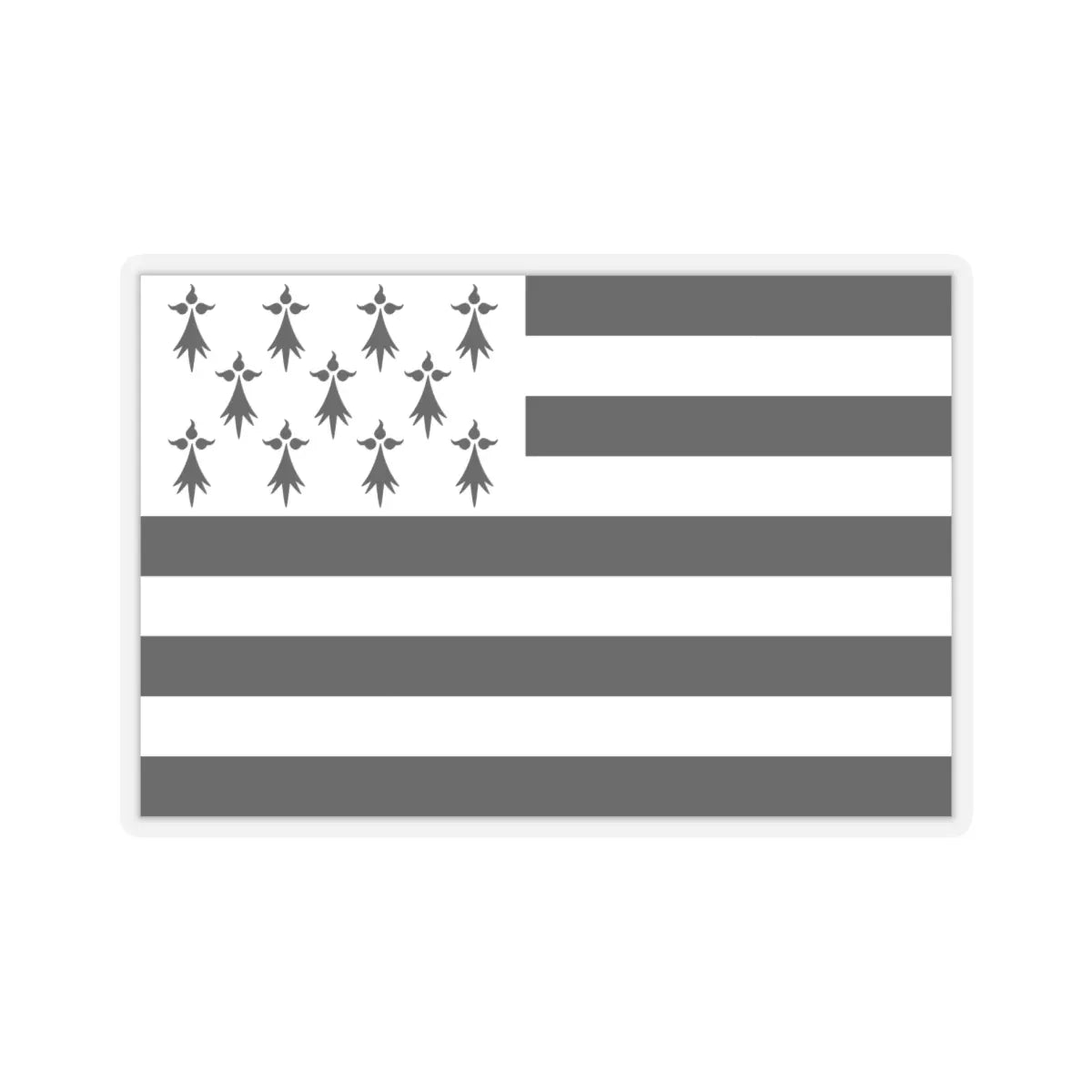 SKU:33533184733374345327 Sizes:6" × 6" Types:Transparent