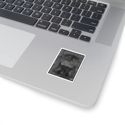 SKU:TSS-STICK-HNSBRS-2X2-2 Sizes:2" × 2" Types:White