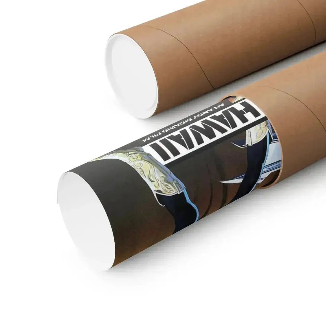 HARD TICKET TO HAWAII 1987 - Paper Movie Poster - The Sticker Space