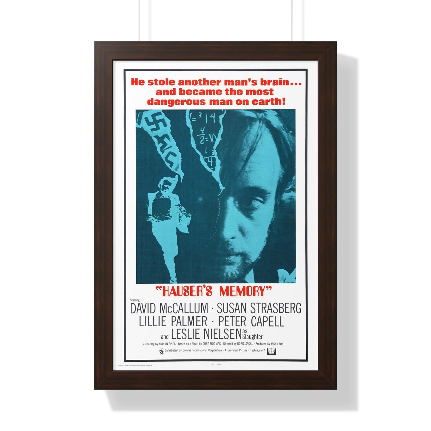 HAUSER'S MEMORY 1970 - Framed Movie Poster-16″ x 24″-The Sticker Space