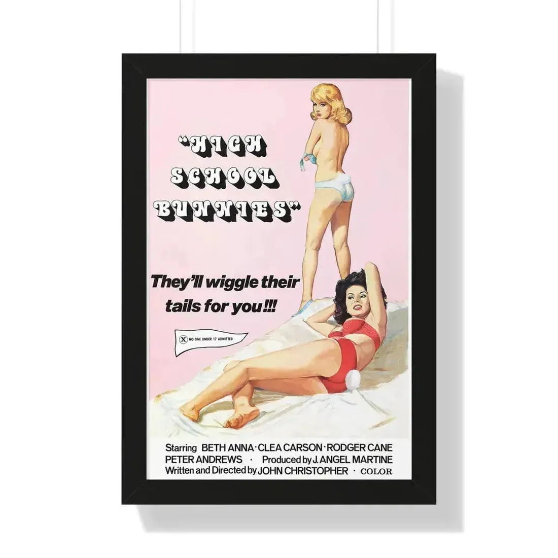 HIGH SCHOOL BUNNIES 1978 - Framed Movie Poster 16″ x 24″ Black - The Sticker Space