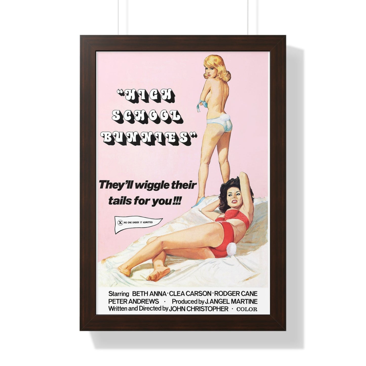 HIGH SCHOOL BUNNIES 1978 - Framed Movie Poster-16″ x 24″-The Sticker Space