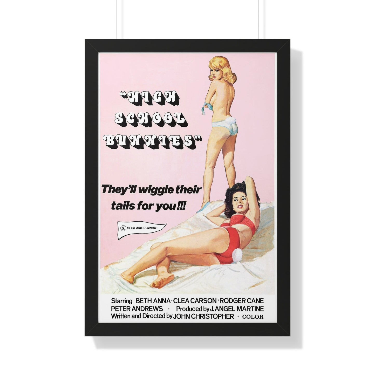 HIGH SCHOOL BUNNIES 1978 - Framed Movie Poster-20" x 30"-The Sticker Space