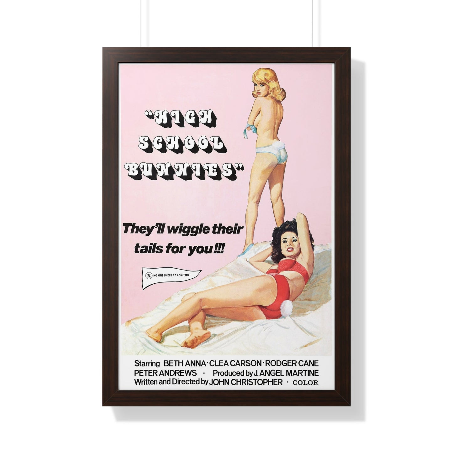 HIGH SCHOOL BUNNIES 1978 - Framed Movie Poster-20" x 30"-The Sticker Space