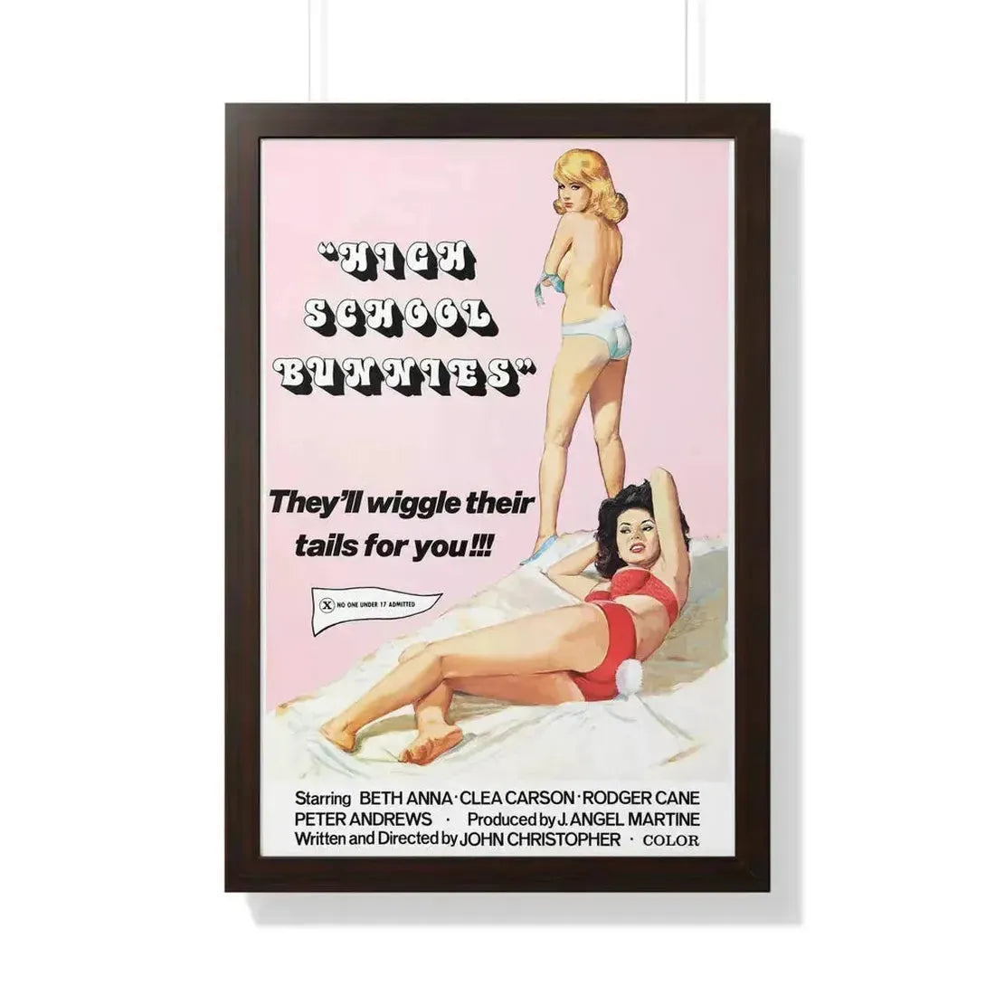 HIGH SCHOOL BUNNIES 1978 - Framed Movie Poster 20" x 30" Walnut - The Sticker Space