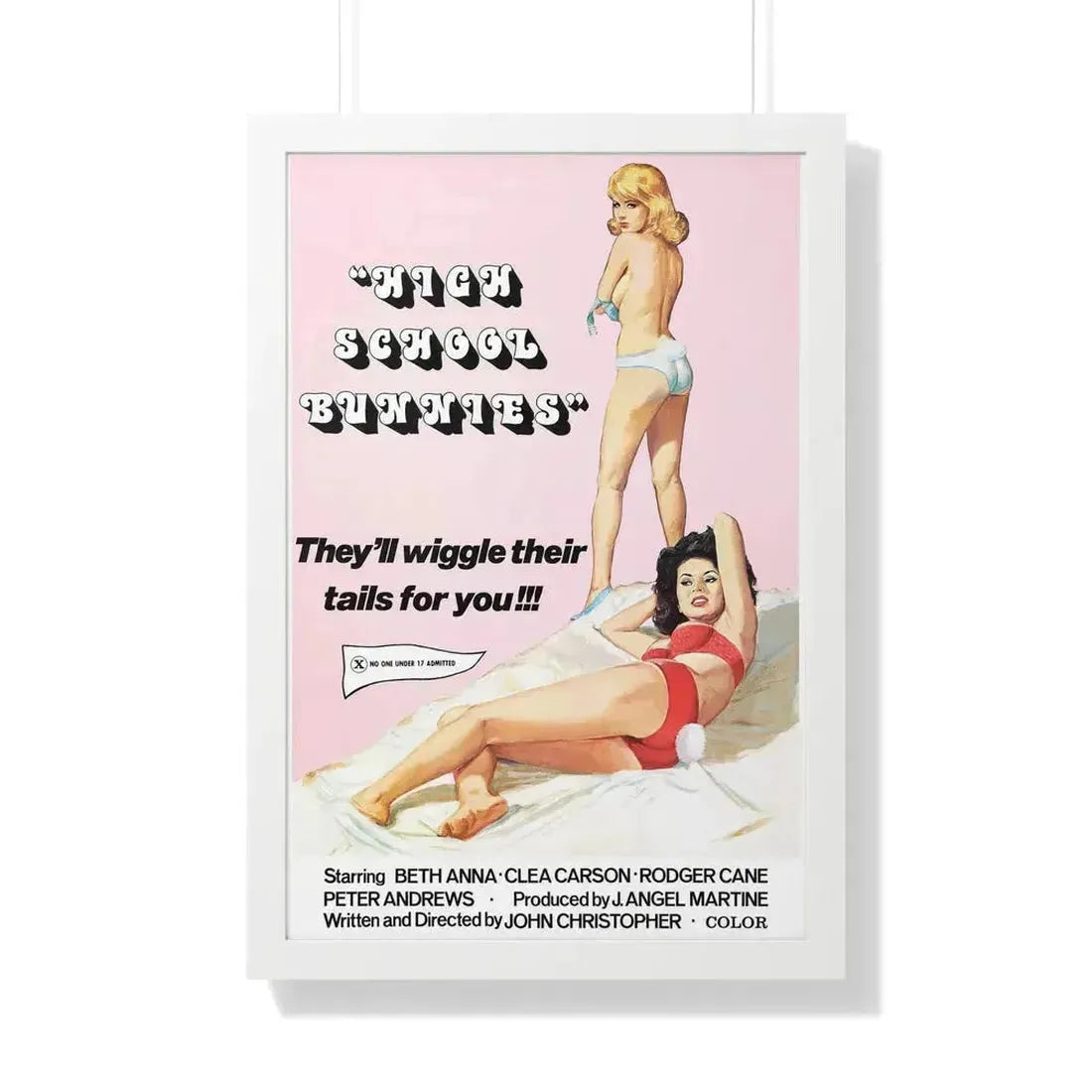 HIGH SCHOOL BUNNIES 1978 - Framed Movie Poster 20" x 30" White - The Sticker Space