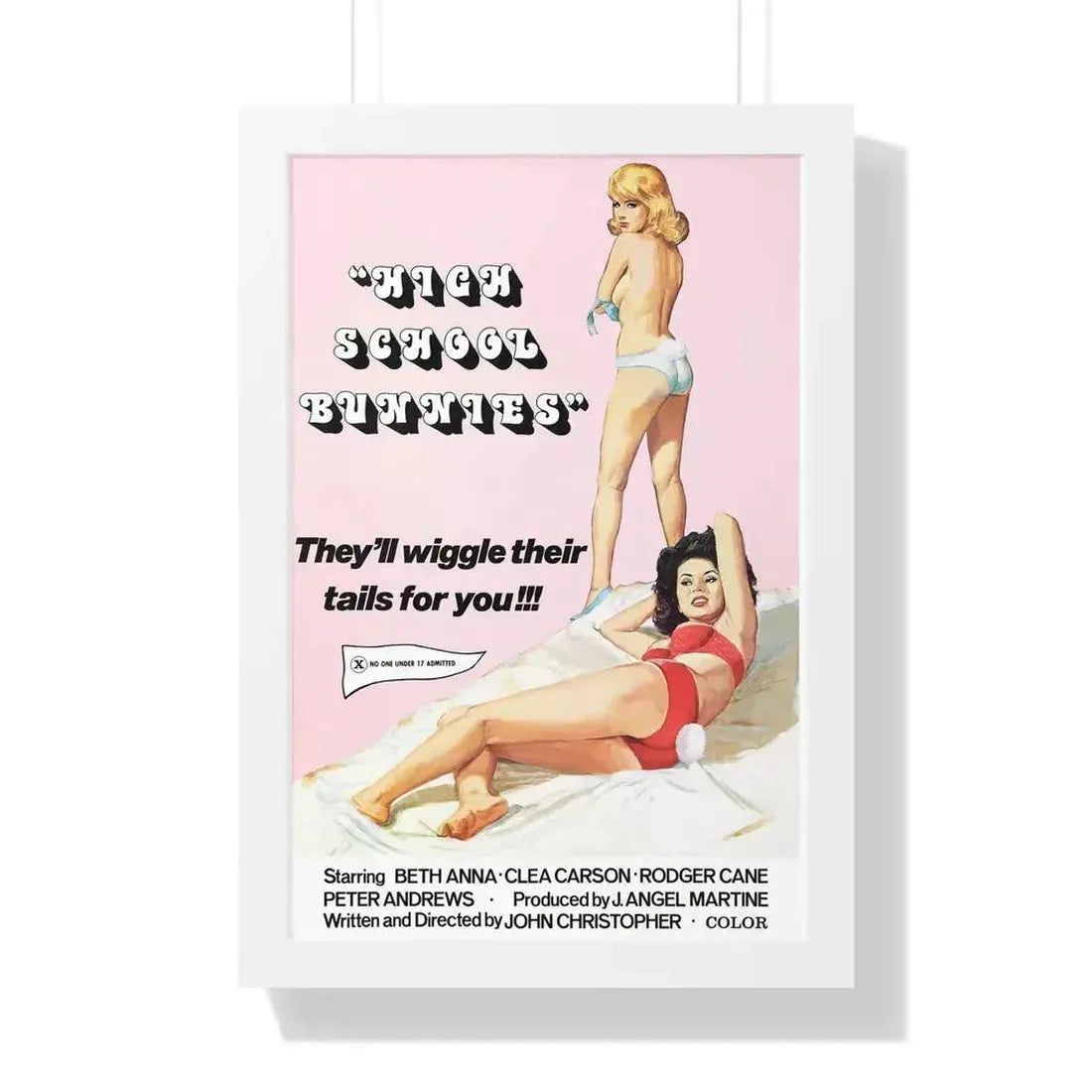 HIGH SCHOOL BUNNIES 1978 - Framed Movie Poster - The Sticker Space