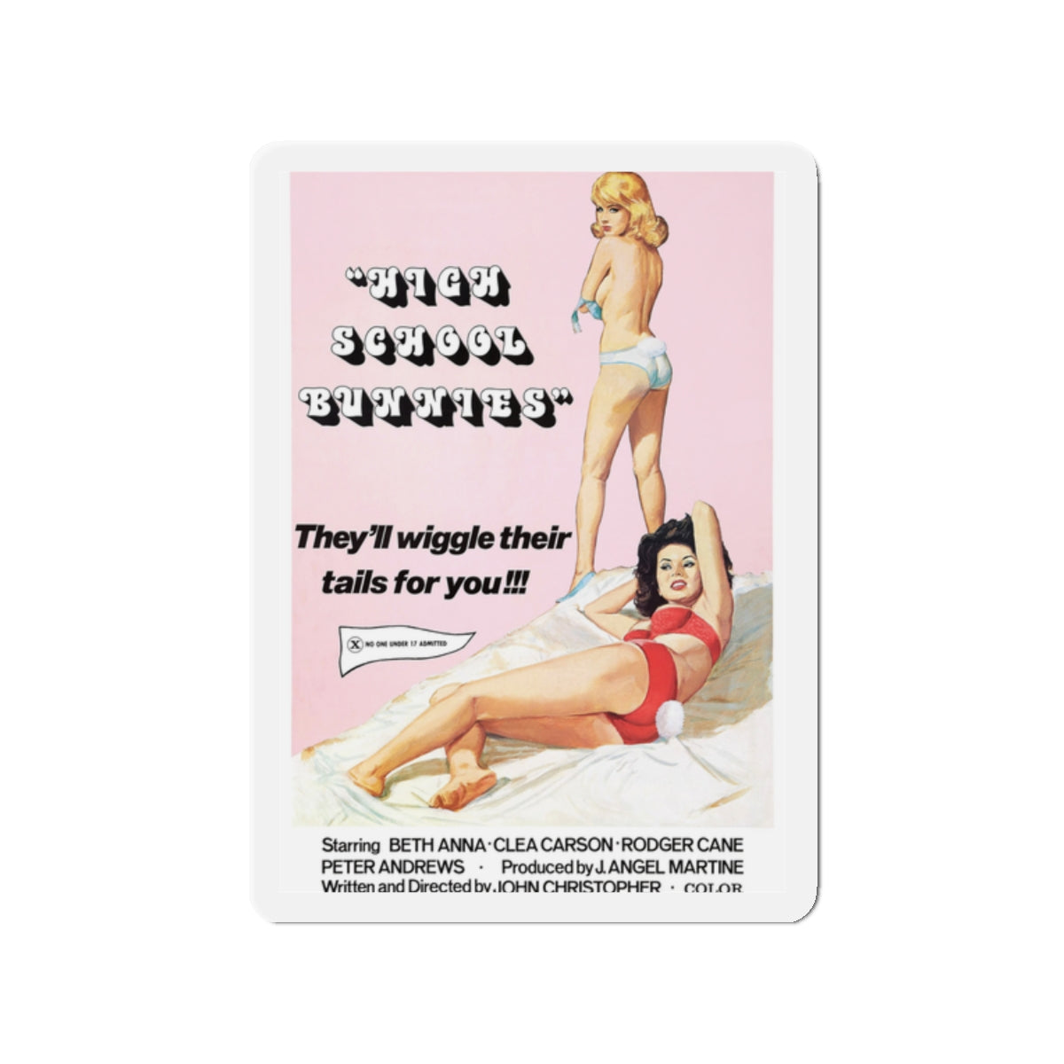 HIGH SCHOOL BUNNIES 1978 Movie Poster - Die-Cut Magnet-2" x 2"-The Sticker Space