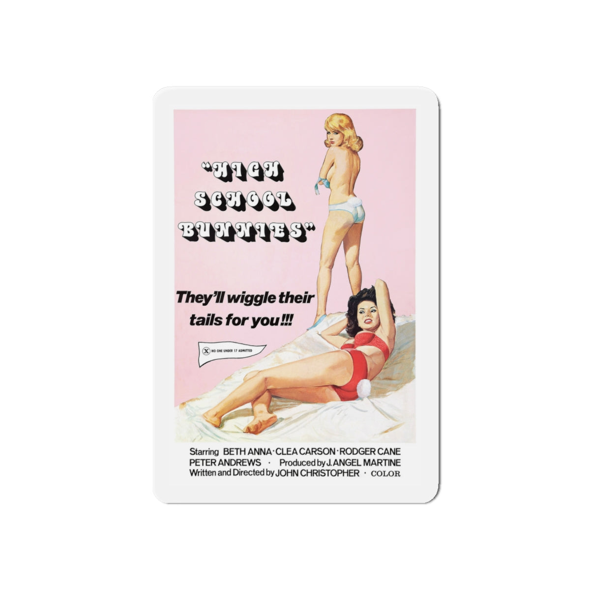 HIGH SCHOOL BUNNIES 1978 Movie Poster - Die-Cut Magnet-6 × 6"-The Sticker Space