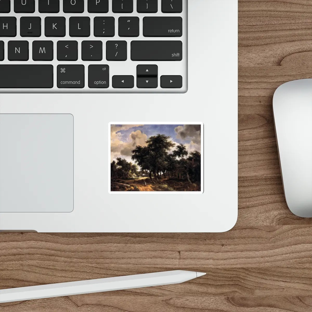 SKU:25886005778778518300 Sticker types:White Shape:Die-Cut Sizes:3" × 3"