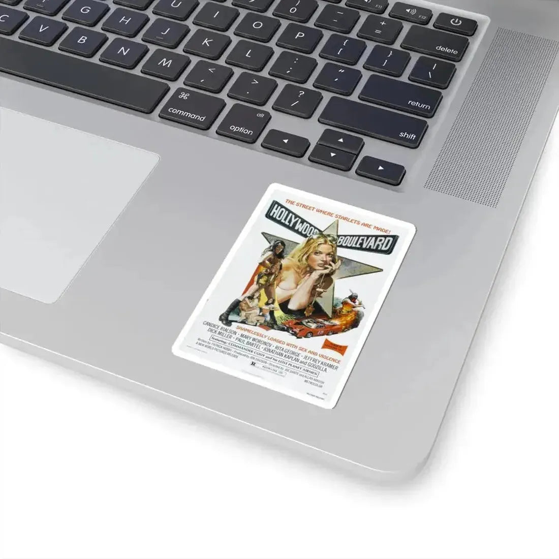 HOLLYWOOD BOULEVARD 1976 Movie Poster - STICKER Vinyl Kiss-Cut Decal - The Sticker Space