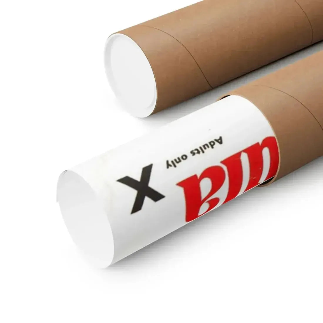 HORROR OF DRACULA (3) 1958 - Paper Movie Poster - The Sticker Space