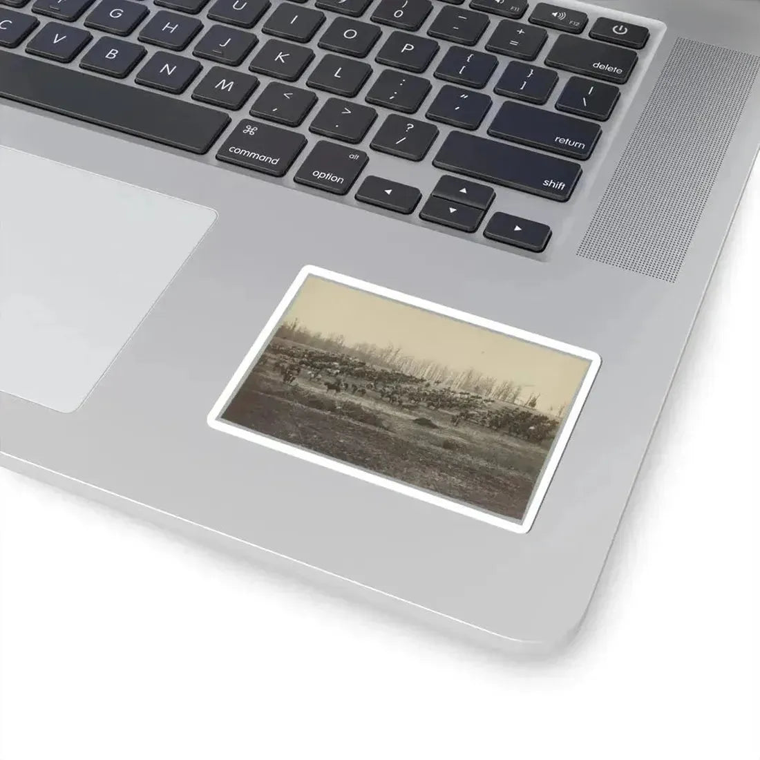 Horse Artillery on Parade Grounds (U.S. Civil War) STICKER Vinyl Kiss-Cut Decal - The Sticker Space