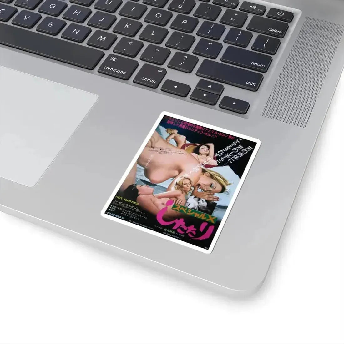 HOT NASTIES 1979 Movie Poster - STICKER Vinyl Kiss-Cut Decal - The Sticker Space