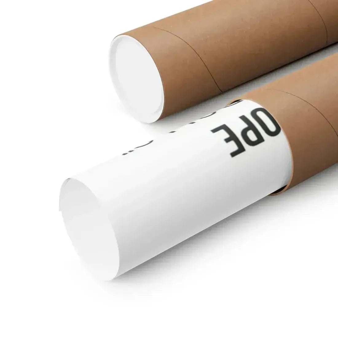 HOUSE OF 1000 DOLLS 1967 - Paper Movie Poster - The Sticker Space