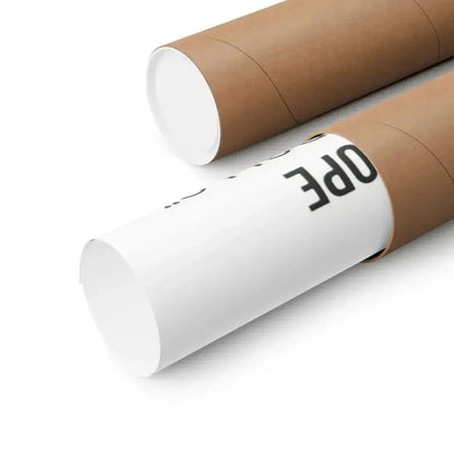 HOUSE OF 1000 DOLLS 1967 - Paper Movie Poster - The Sticker Space