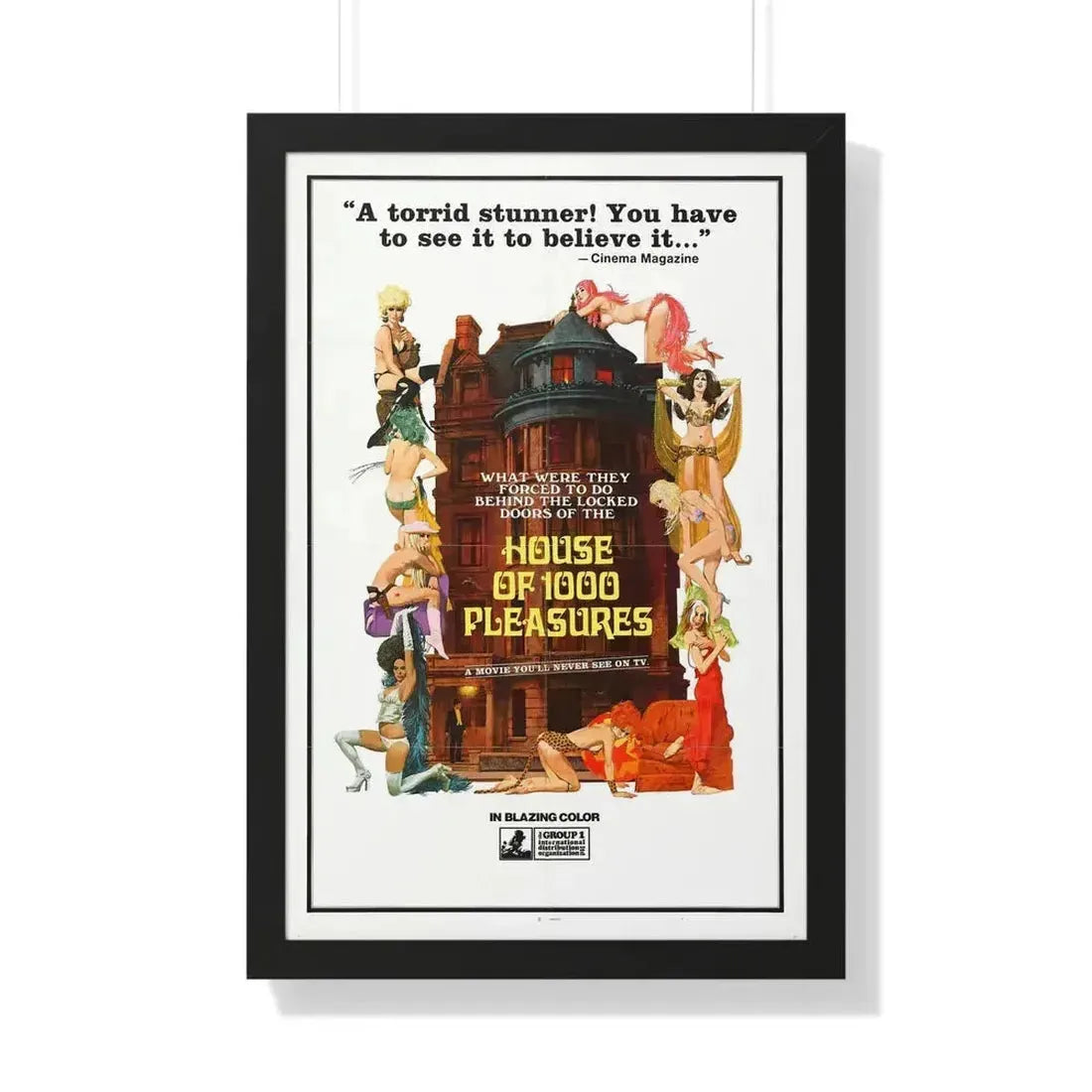 HOUSE OF 1000 PLEASURES 1974 - Framed Movie Poster 20" x 30" Black - The Sticker Space