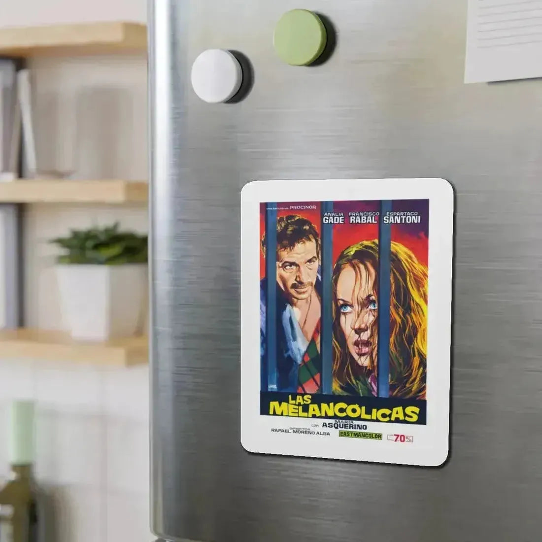 HOUSE OF INSANE WOMEN 1971 Movie Poster - Refrigerator Magnet - The Sticker Space