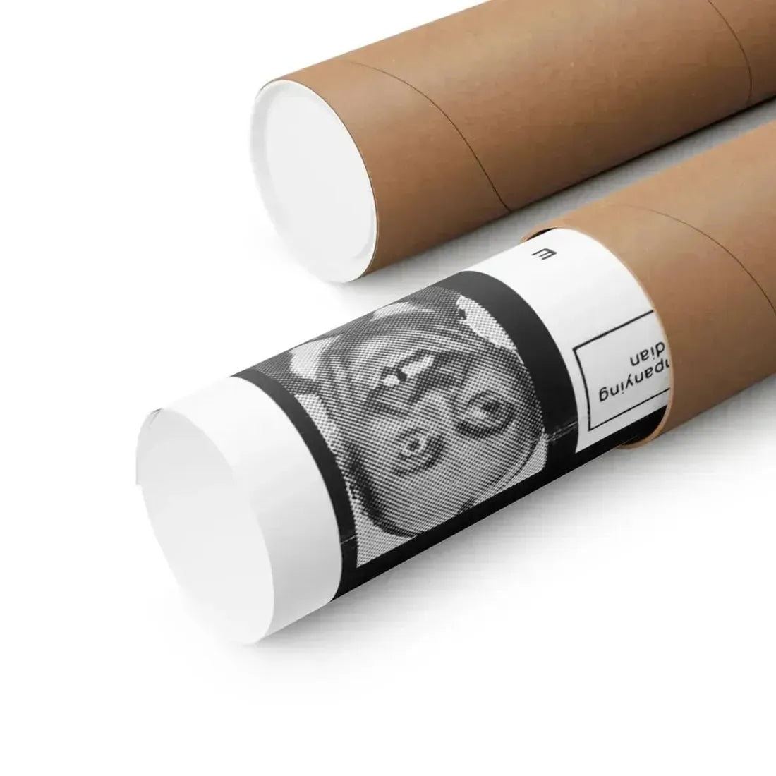 HOUSE OF INSANE WOMEN (2) 1971 - Paper Movie Poster - The Sticker Space