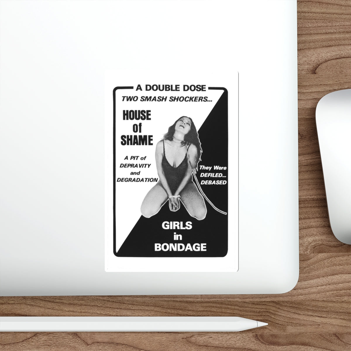 HOUSE OF SHAME + GIRLS IN BONDAGE 1964 Movie Poster STICKER Vinyl Die-Cut Decal-The Sticker Space