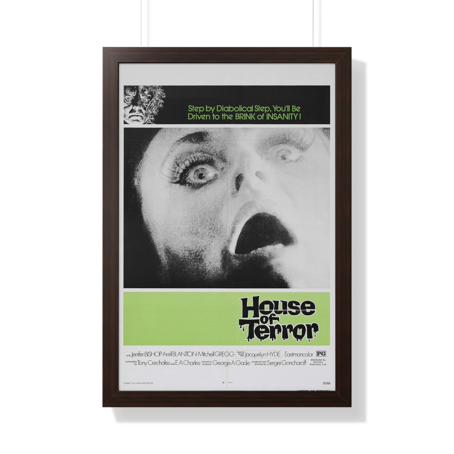 HOUSE OF TERROR 1973 - Framed Movie Poster-20" x 30"-The Sticker Space