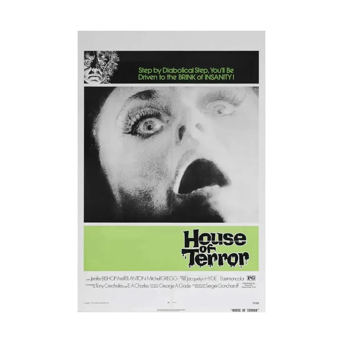 HOUSE OF TERROR 1973 - Paper Movie Poster - The Sticker Space